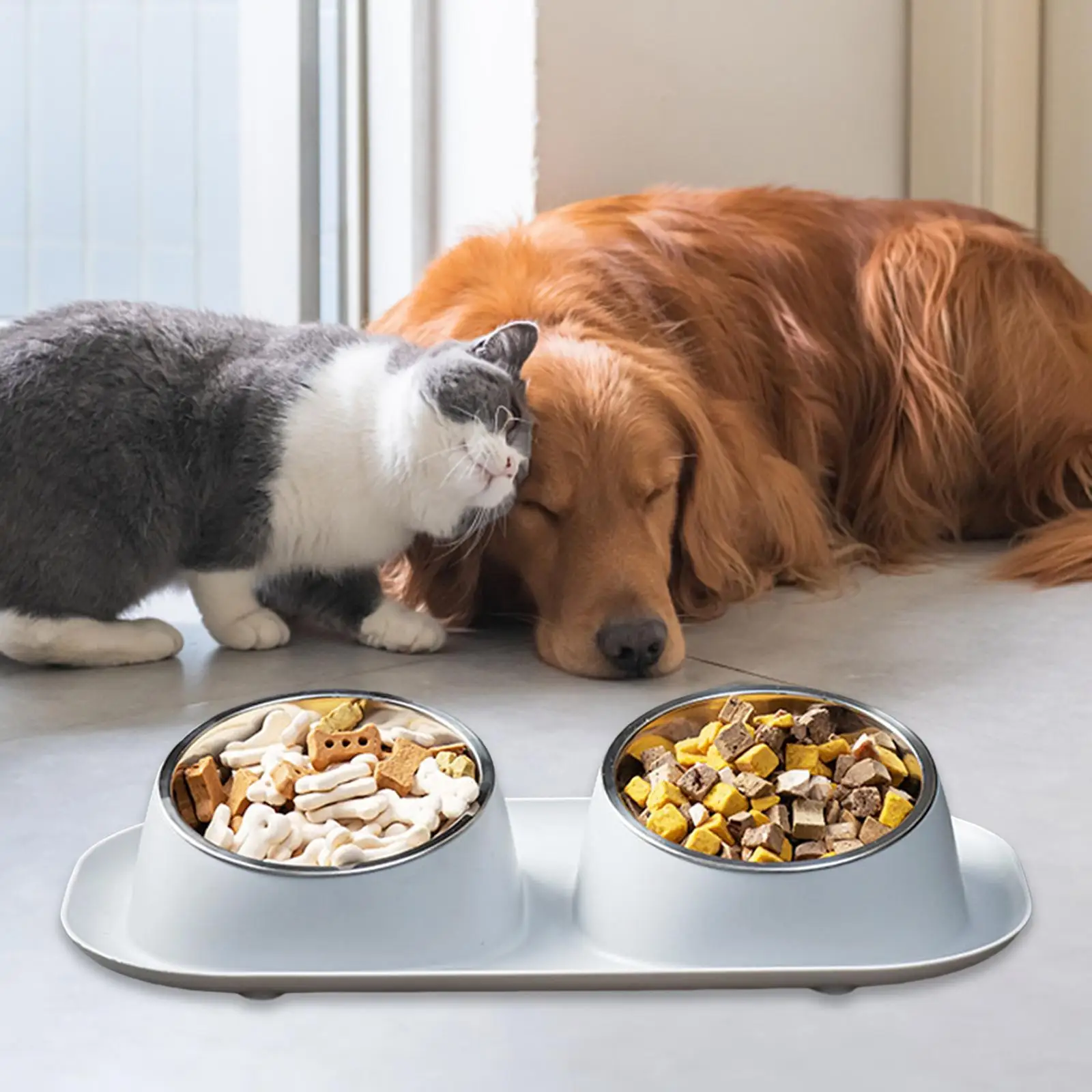 Двойная миска для собаки, двойная миска для кошки-собаки, приподнятый контейнер, миски для кормушки для домашних животных
